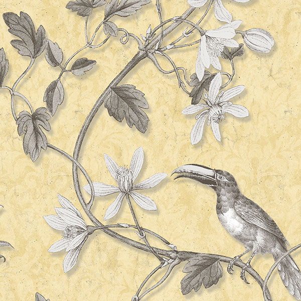 Patton Wallcoverings MH36531 Manor House Toucan Toile Wallpaper